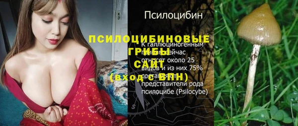 амф Алзамай