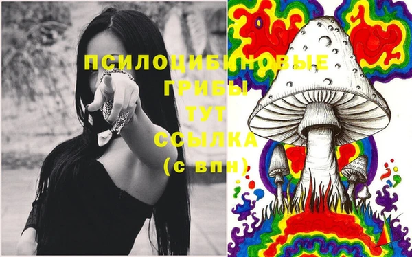 амф Алзамай
